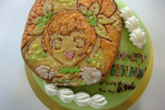 プリキュア (1)